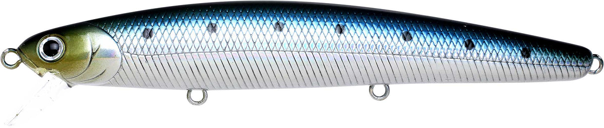 SW フラッシュミノー & シーバス