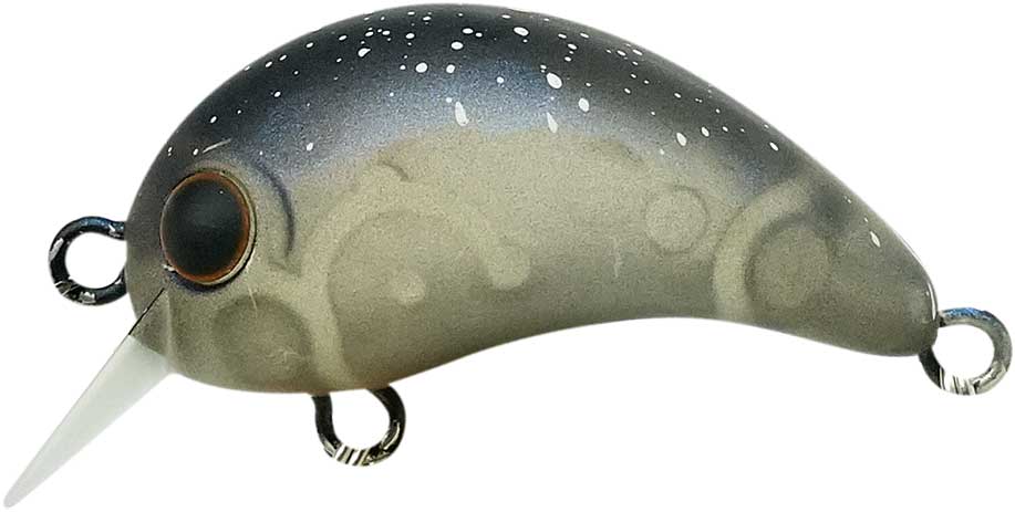 ワウ