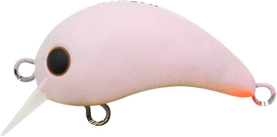 ワウ