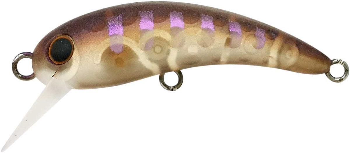 ワウ
