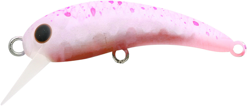 ワウ