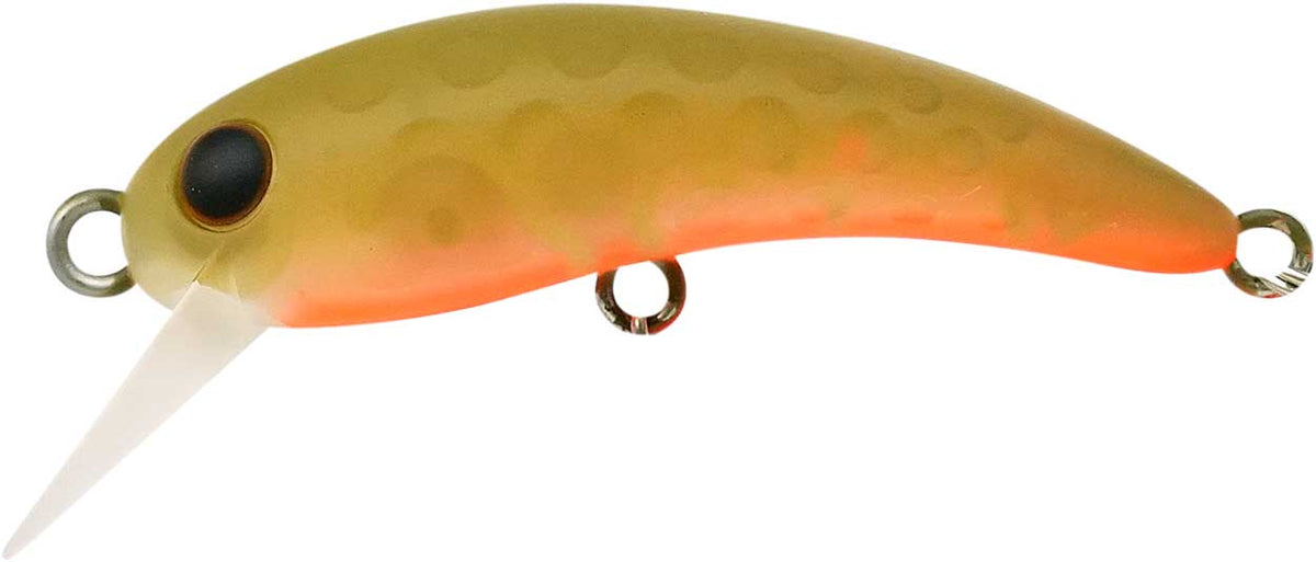 ワウ